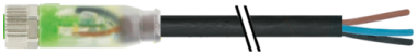 Cordon M8 femelle droit à sortie fils avec LED,  7000-08111-6501000